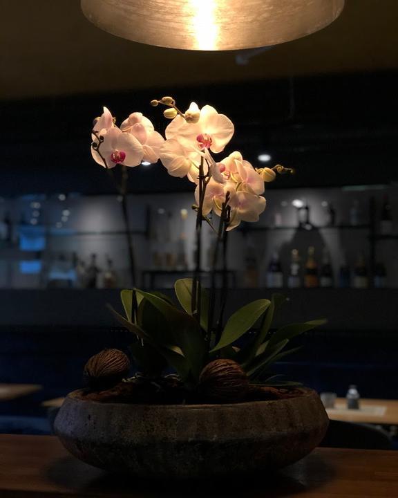 Duqu Lounge, Sushi + More